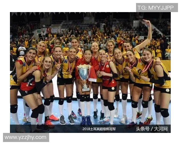 南京排球队状态分析与表现评估大满贯点评