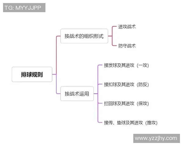 赛后分析:重庆与武汉排球队灵活性对比及战术启示 赛后分析:重庆与武汉排球队灵活性对比及战术启示